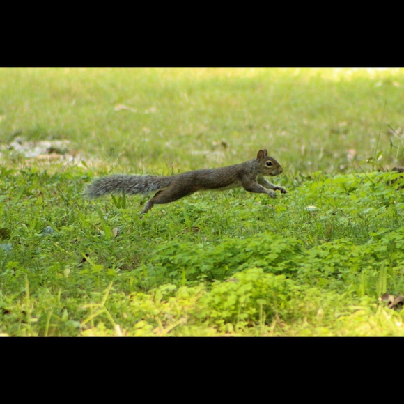 🛑STOP THE SCAMS!  PLEASE READ!!!🛑 - Picture 5 of 12